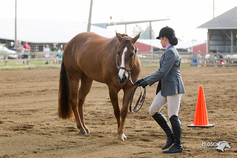 4H-3rd-Show-11_0818.jpg