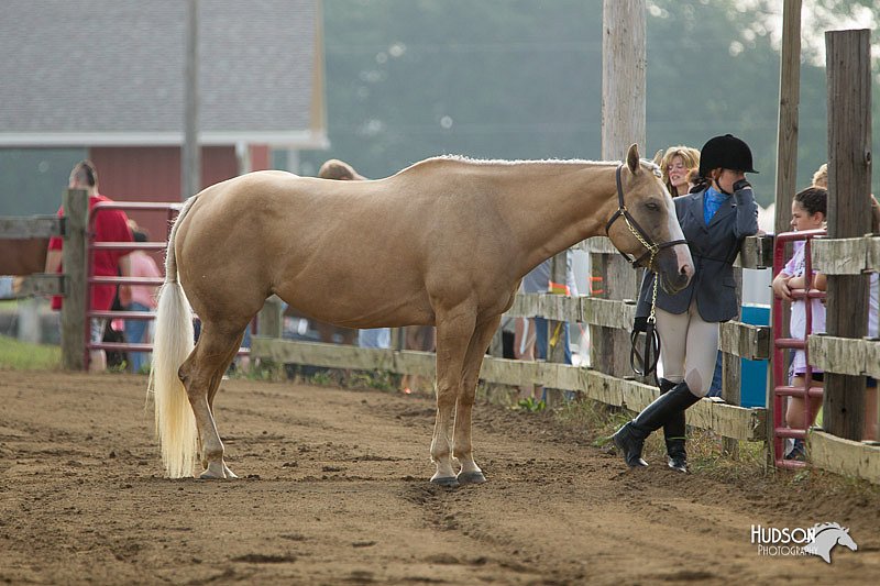 4H-3rd-Show-11_0820.jpg