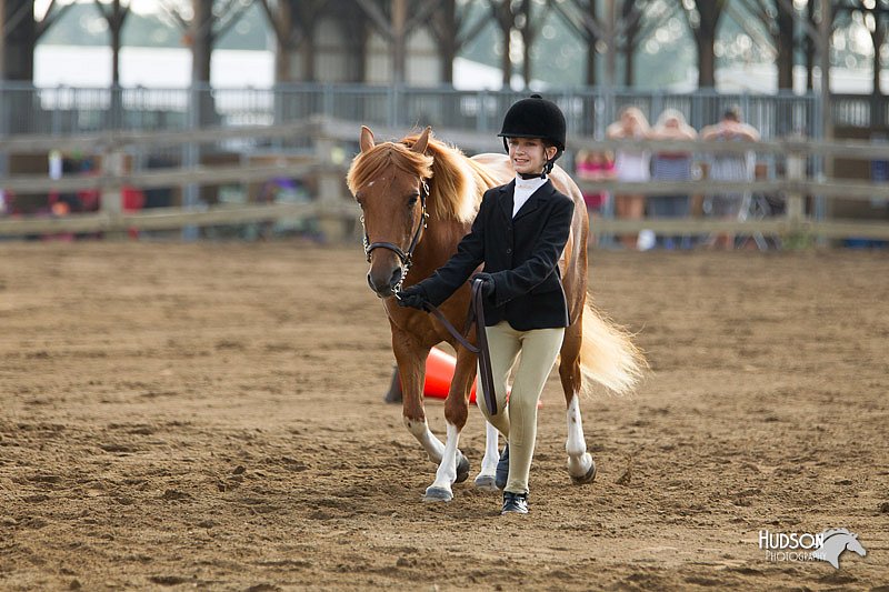 4H-3rd-Show-11_0822.jpg