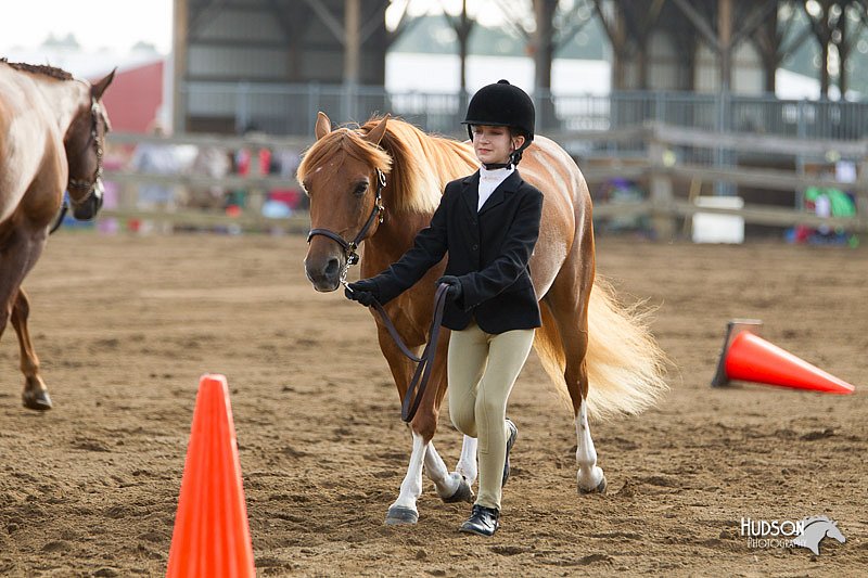 4H-3rd-Show-11_0824.jpg