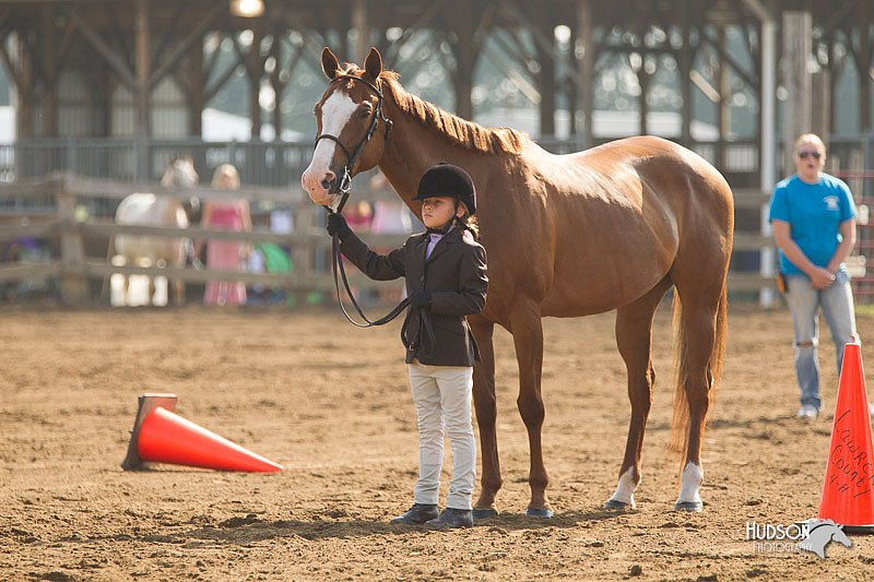 4H-3rd-Show-11_0826.jpg