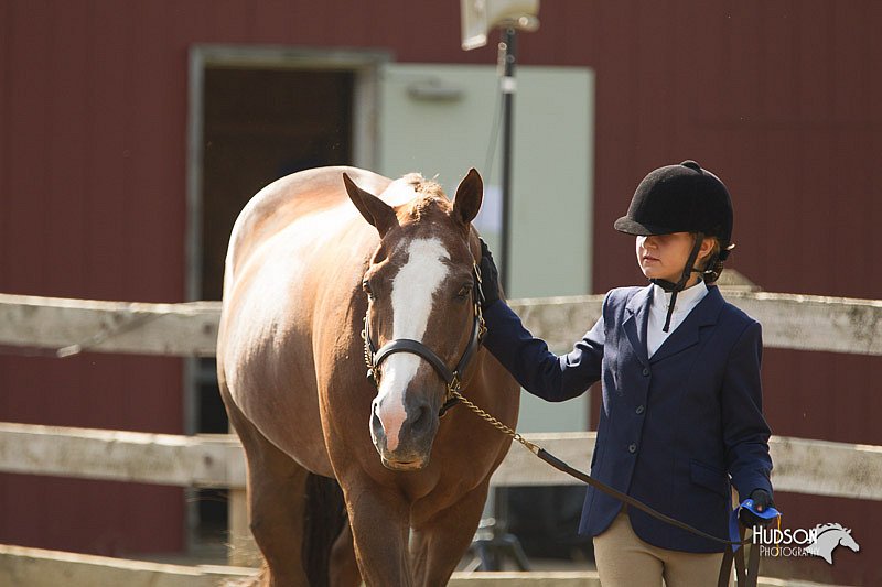 4H-3rd-Show-11_0838.jpg
