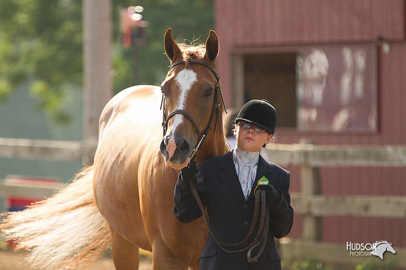 4H-3rd-Show-11_0849.jpg
