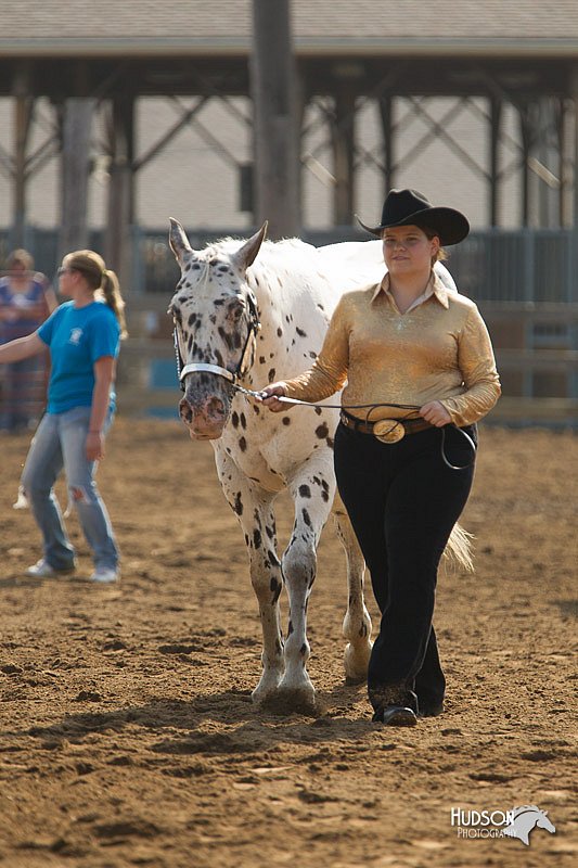 4H-3rd-Show-11_0857.jpg