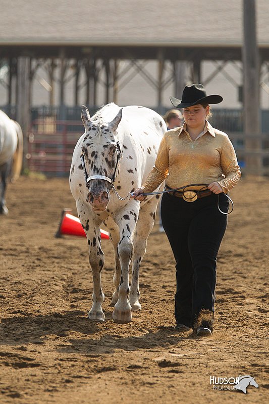 4H-3rd-Show-11_0860.jpg