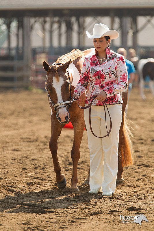 4H-3rd-Show-11_0868.jpg