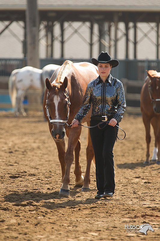 4H-3rd-Show-11_0874.jpg