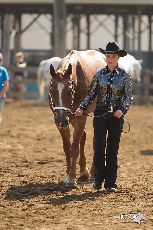 4H-3rd-Show-11_0875.jpg