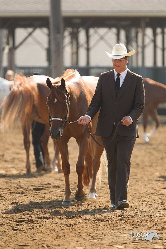 4H-3rd-Show-11_0878.jpg