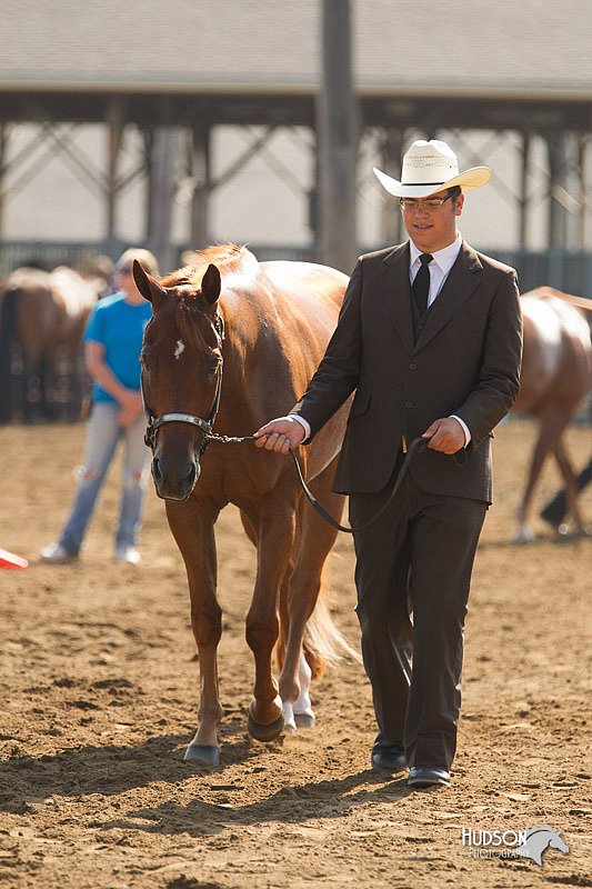 4H-3rd-Show-11_0880.jpg