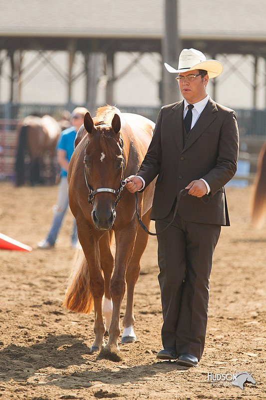 4H-3rd-Show-11_0881.jpg
