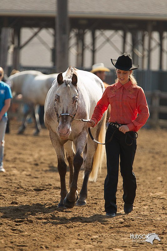 4H-3rd-Show-11_0882.jpg