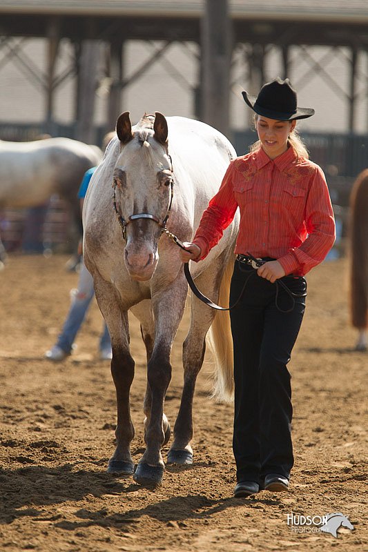 4H-3rd-Show-11_0883.jpg