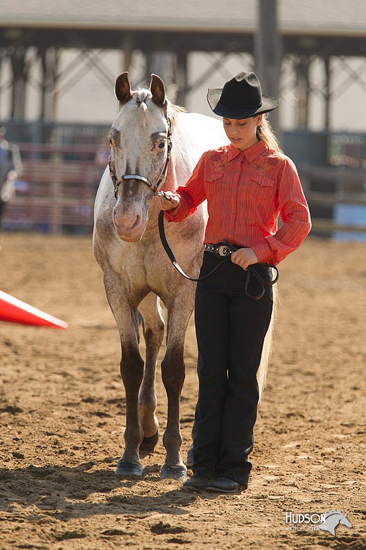 4H-3rd-Show-11_0884.jpg