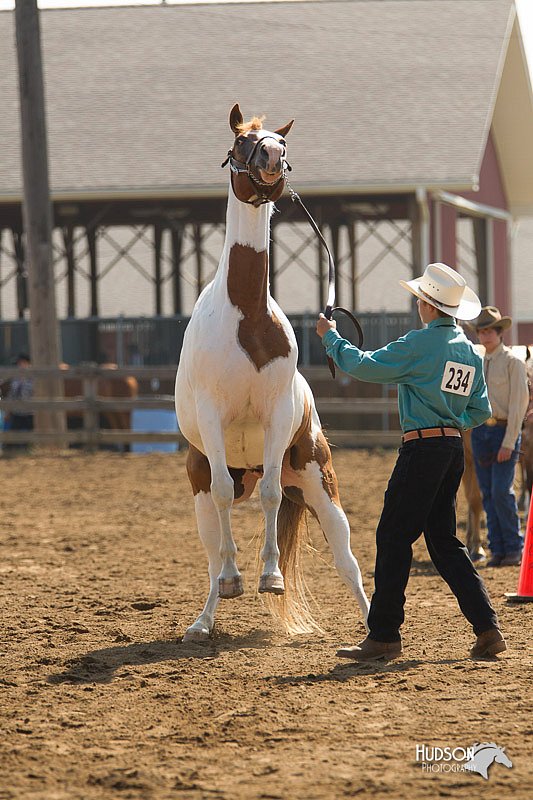 4H-3rd-Show-11_0905.jpg