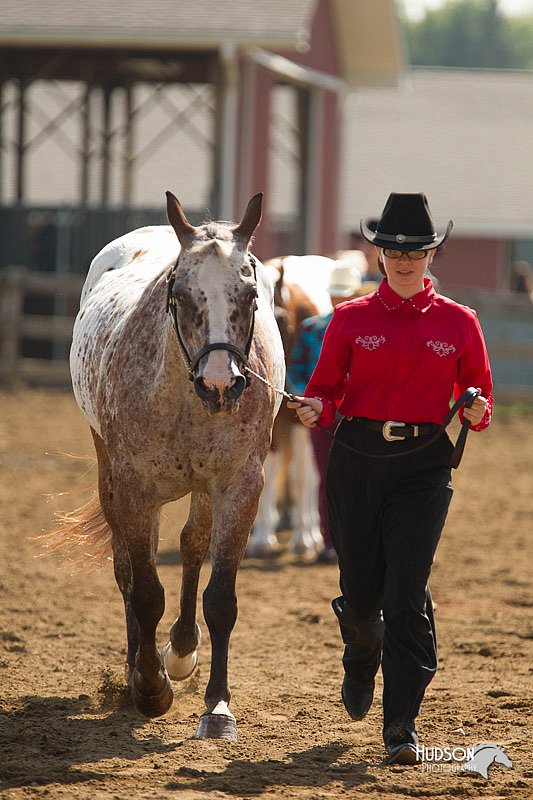 4H-3rd-Show-11_0912.jpg
