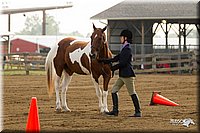 4H-3rd-Show-11_0778.jpg