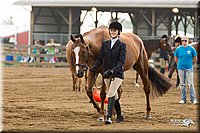 4H-3rd-Show-11_0792.jpg