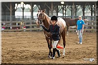 4H-3rd-Show-11_0813.jpg