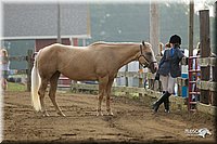 4H-3rd-Show-11_0815.jpg