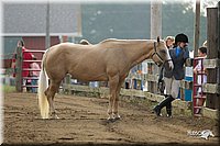 4H-3rd-Show-11_0820.jpg
