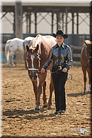 4H-3rd-Show-11_0874.jpg