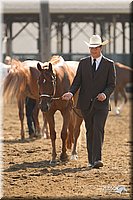 4H-3rd-Show-11_0878.jpg