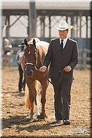 4H-3rd-Show-11_0879.jpg