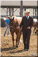4H-3rd-Show-11_0880.jpg