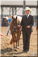 4H-3rd-Show-11_0881.jpg