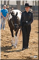 4H-3rd-Show-11_0887.jpg