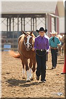 4H-3rd-Show-11_0902.jpg