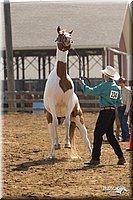 4H-3rd-Show-11_0905.jpg