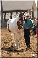 4H-3rd-Show-11_0907.jpg