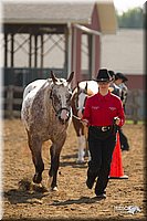 4H-3rd-Show-11_0911.jpg