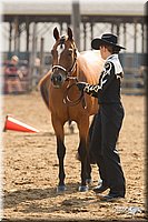 4H-3rd-Show-11_0922.jpg