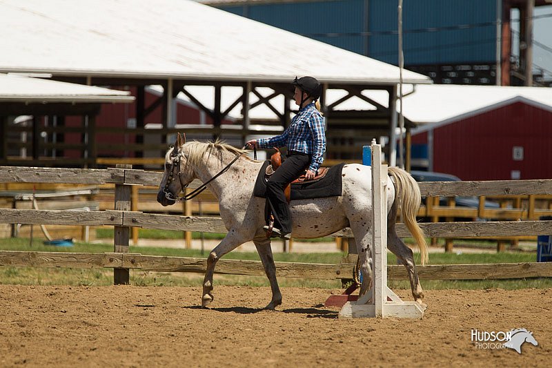 4H-3rd-Show-11_1265.jpg