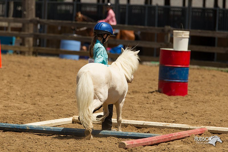4H-3rd-Show-11_1335.jpg