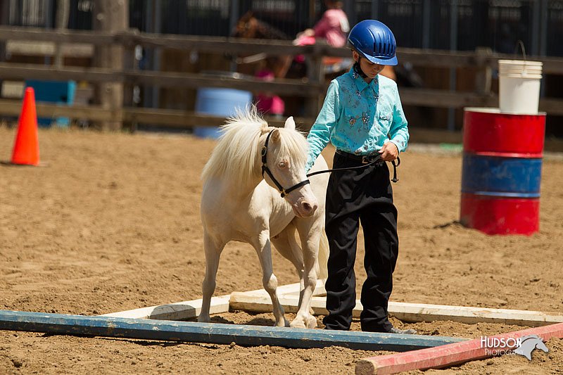 4H-3rd-Show-11_1337.jpg