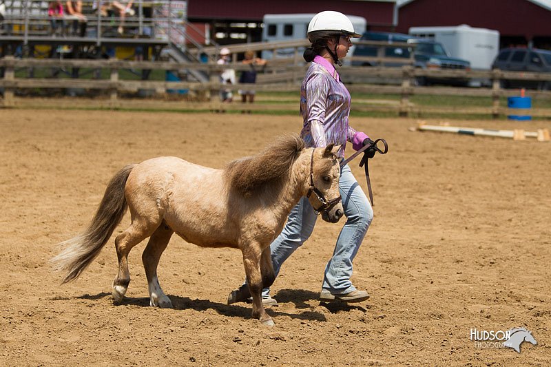 4H-3rd-Show-11_1347.jpg