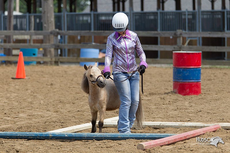 4H-3rd-Show-11_1348.jpg