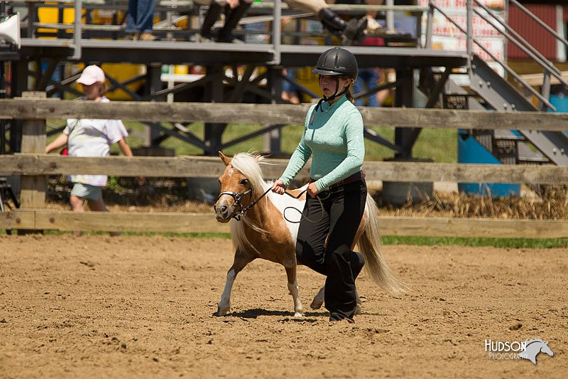 4H-3rd-Show-11_1354.jpg