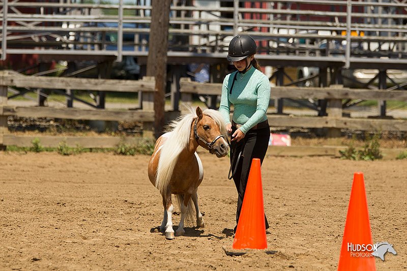 4H-3rd-Show-11_1357.jpg