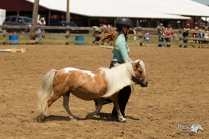 4H-3rd-Show-11_1358.jpg
