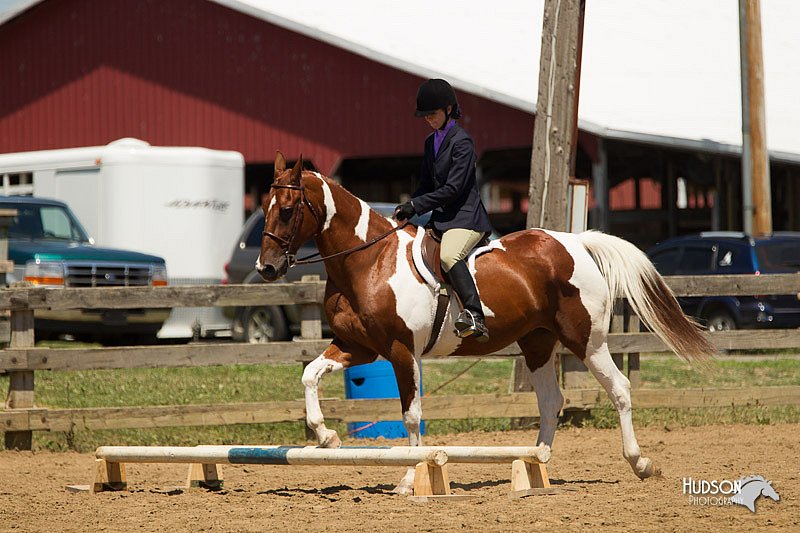 4H-3rd-Show-11_1413.jpg
