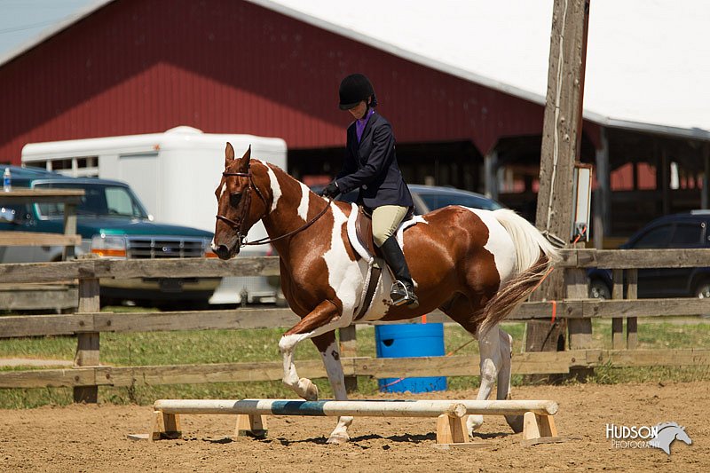 4H-3rd-Show-11_1414.jpg