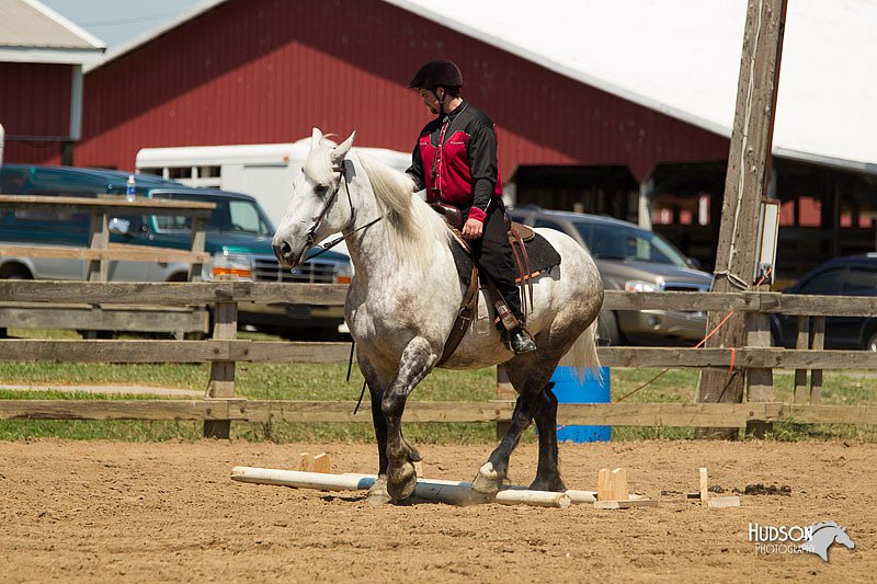 4H-3rd-Show-11_1433.jpg