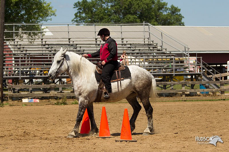 4H-3rd-Show-11_1435.jpg