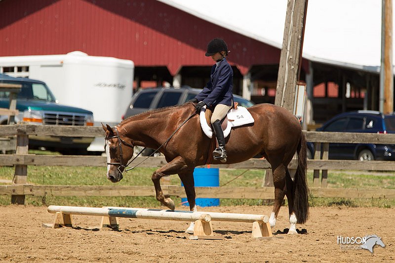 4H-3rd-Show-11_1454.jpg