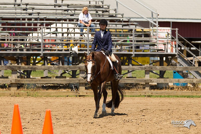 4H-3rd-Show-11_1456.jpg